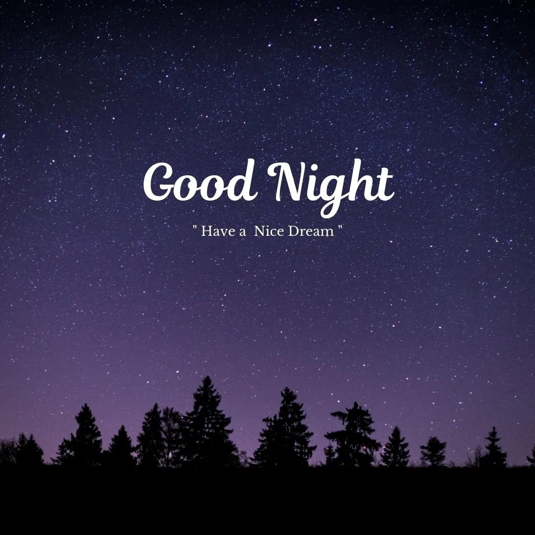 100+ Good night Quote Images frew to download 5